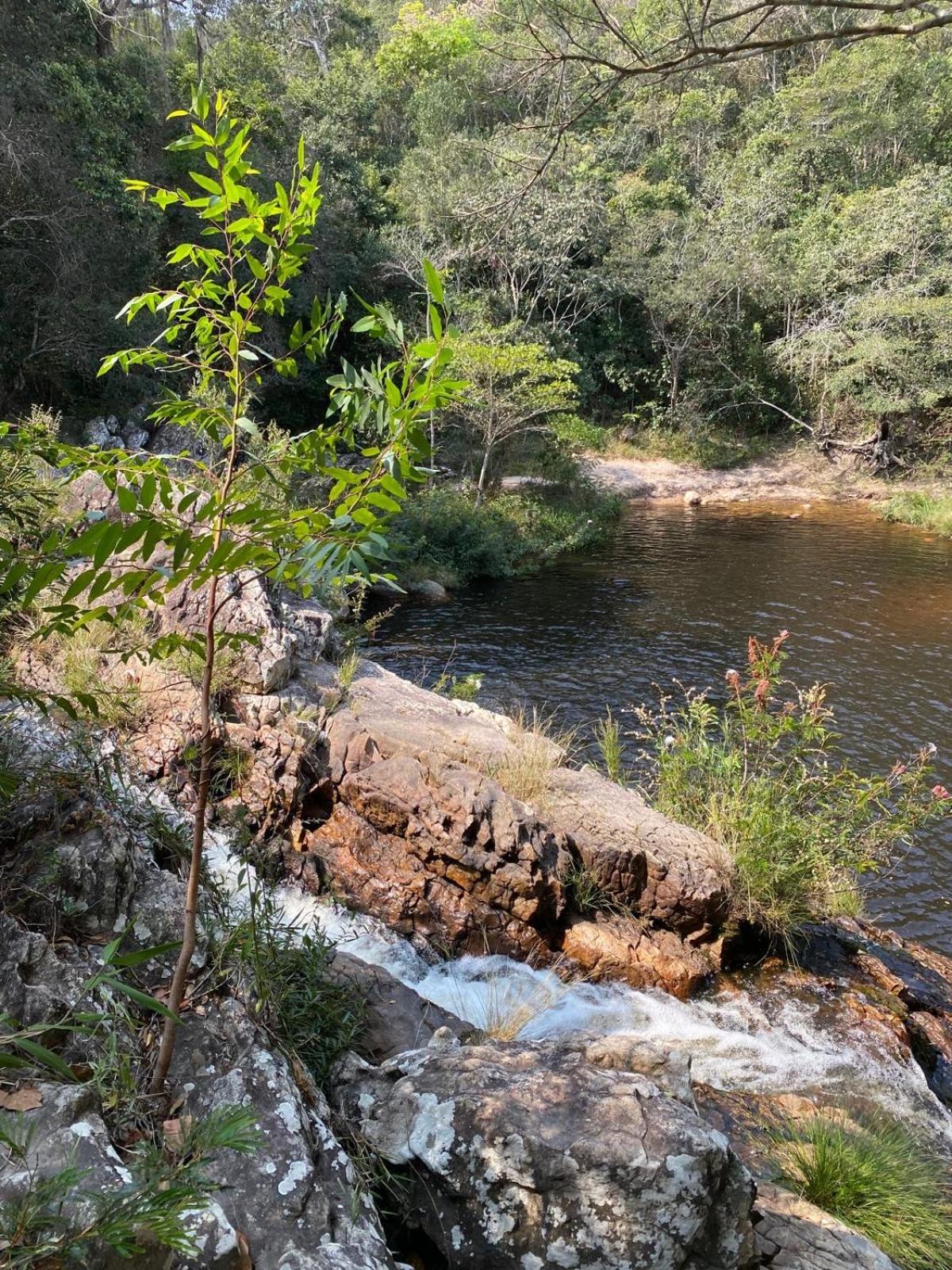 Reserva Do Bosque Hospedaria E Natureza Ibicoara Ngoại thất bức ảnh