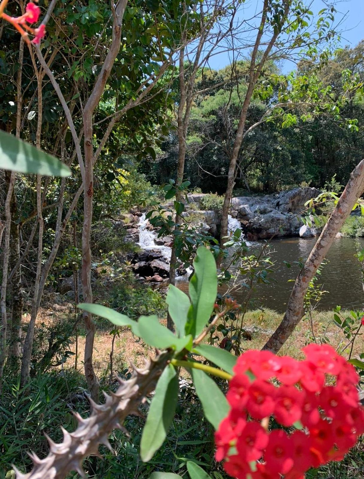 Reserva Do Bosque Hospedaria E Natureza Ibicoara Ngoại thất bức ảnh