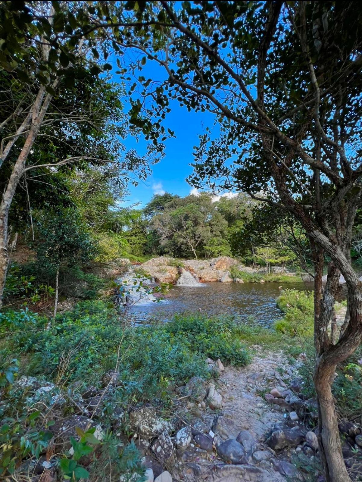 Reserva Do Bosque Hospedaria E Natureza Ibicoara Ngoại thất bức ảnh